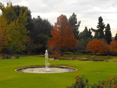 Johannesburg Botanic Garden